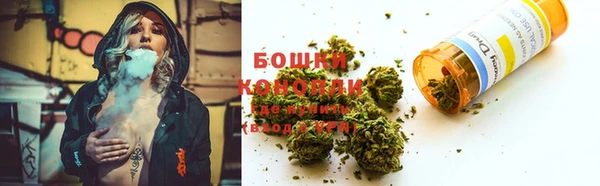 молекула духа Аркадак