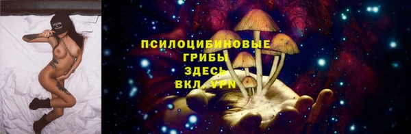 молекула духа Аркадак