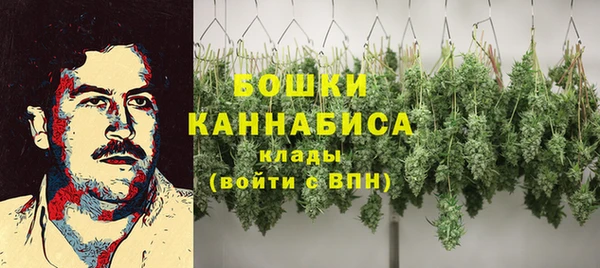 молекула духа Аркадак