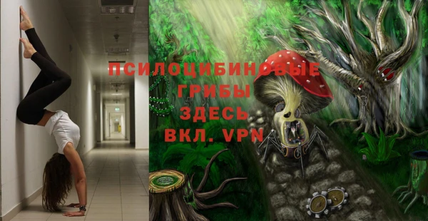 молекула духа Аркадак