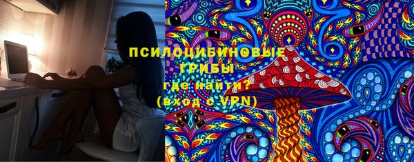 молекула духа Аркадак